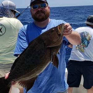 Meet your Posher, Mitch